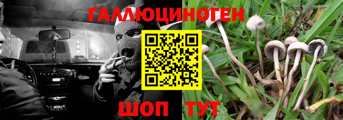 Галлюциногенные грибы Magic Shrooms Шарыпово