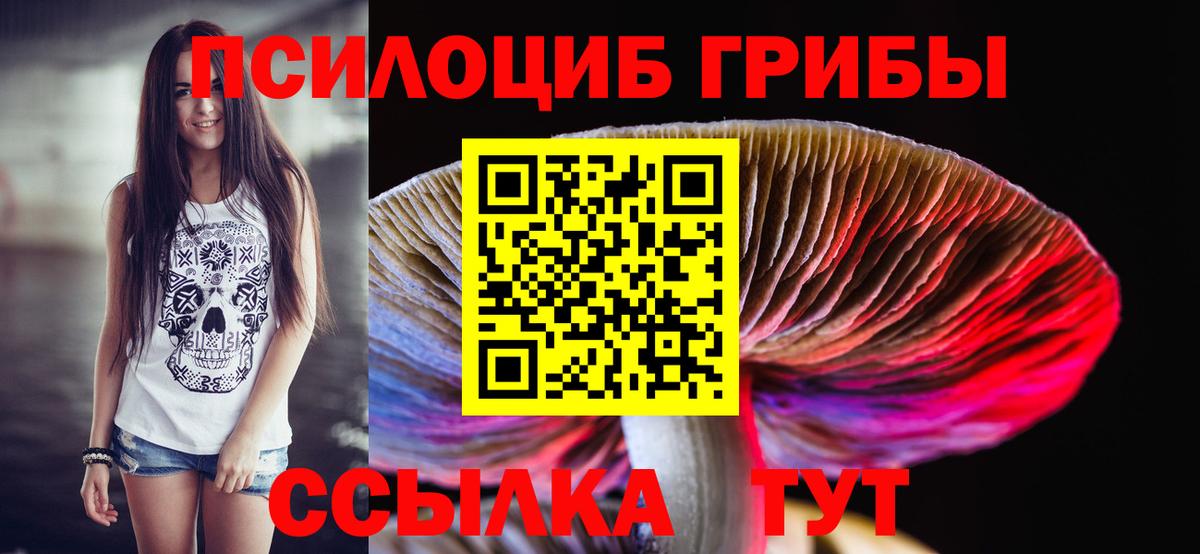 Шарыпово  Галлюциногенные грибы мухоморы  Вход с VPN 